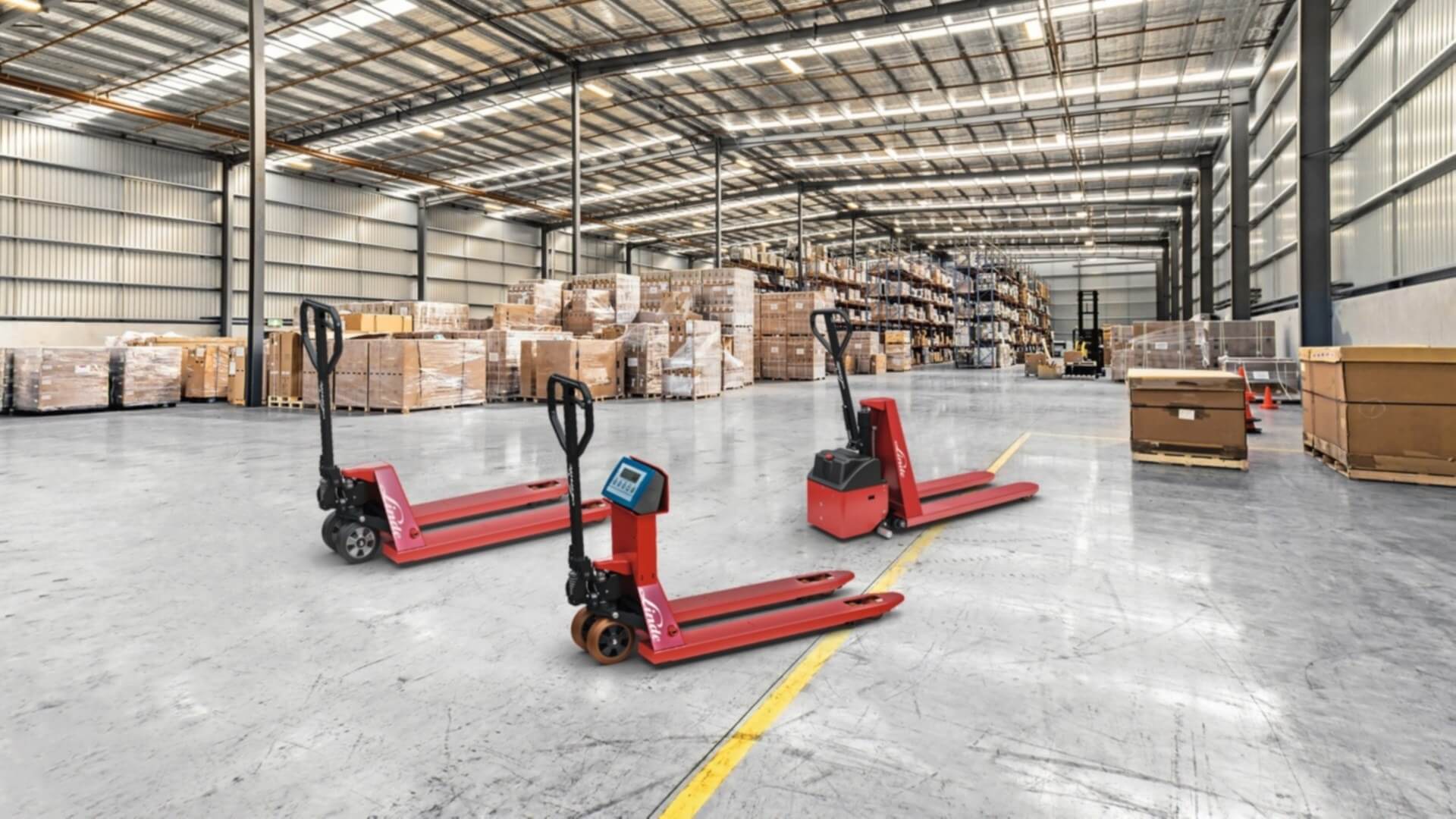 Xe nâng tay thấp có càng nâng pallet và bộ kích thủy lực